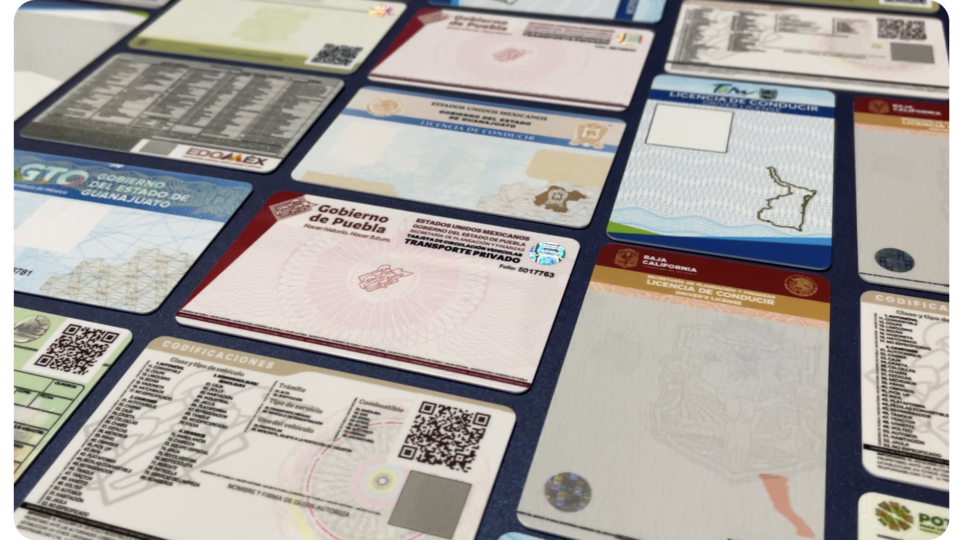 Licencias de conducir